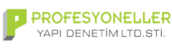 Profesyoneller Yap� Denetim